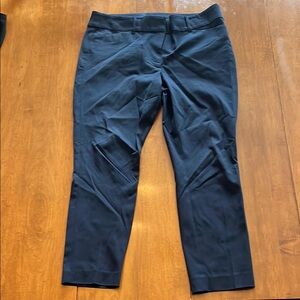 LOFT Navy Women's Pants